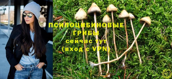 ALPHA PVP Балабаново