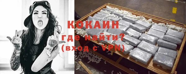 крисы Покачи
