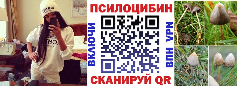 блэк спрут зеркало  дарк нет как зайти  Галлюциногенные грибы GOLDEN TEACHER  Верхнеуральск 